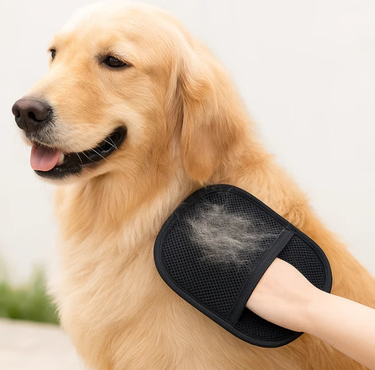 CleanJoy - By Petway